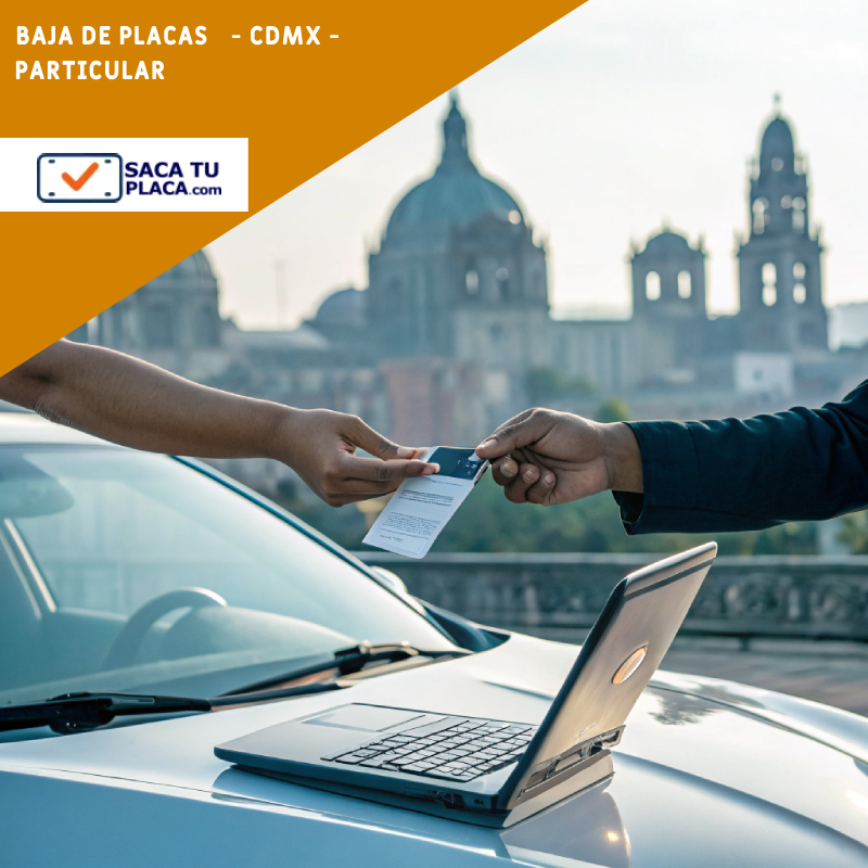 sacatuplaca productos (5)